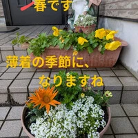 画像231