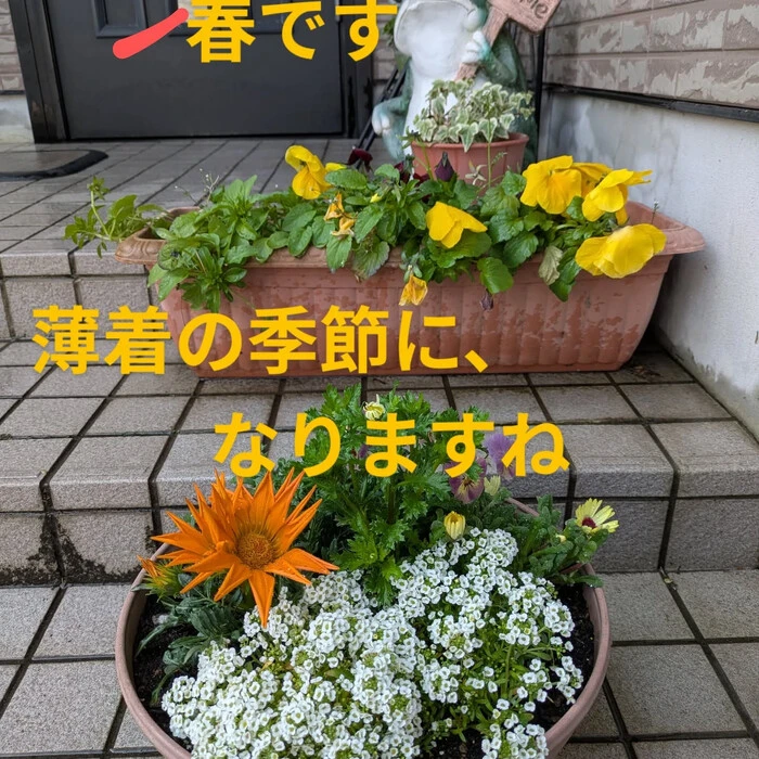 画像231